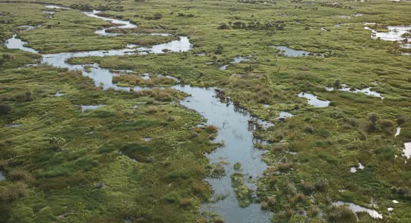 The floodwaters joined a distant river, carried Mufasa far from his mother and father