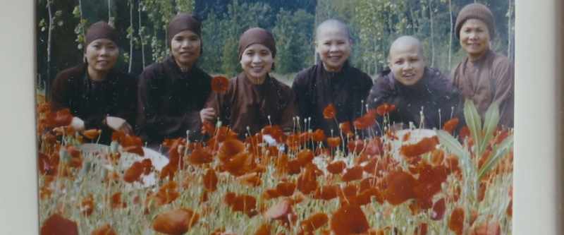 The flowers, symbol of enlightenment