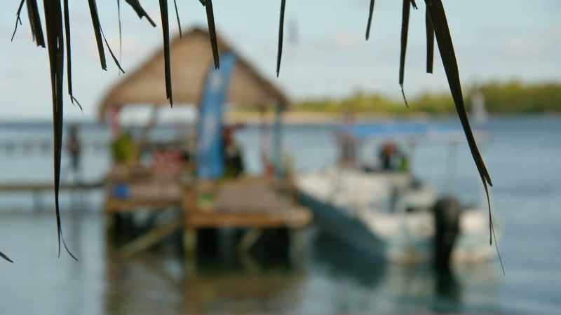 The following year, Yvonne returns to French Polynesia