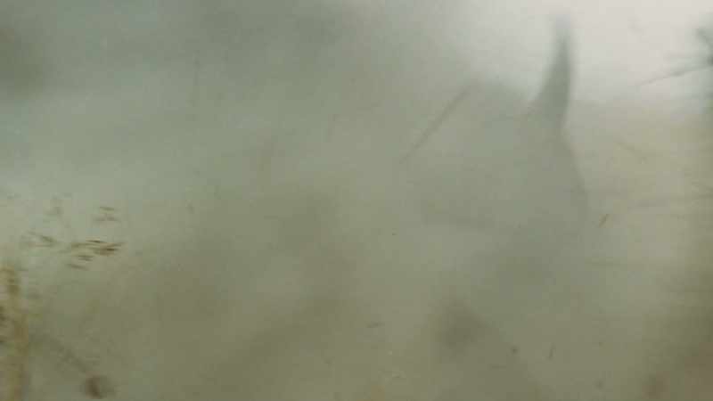 The forces involved here are less visible than gunfire
