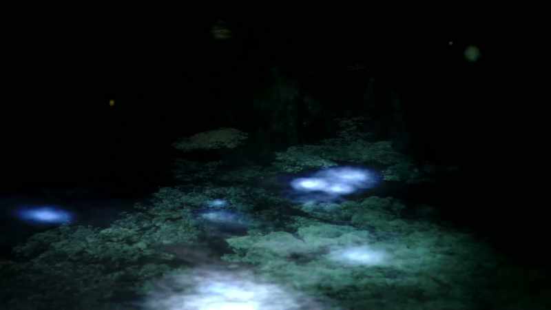 THE FRICTION TURNS THESE PLUMMETING ROCKS