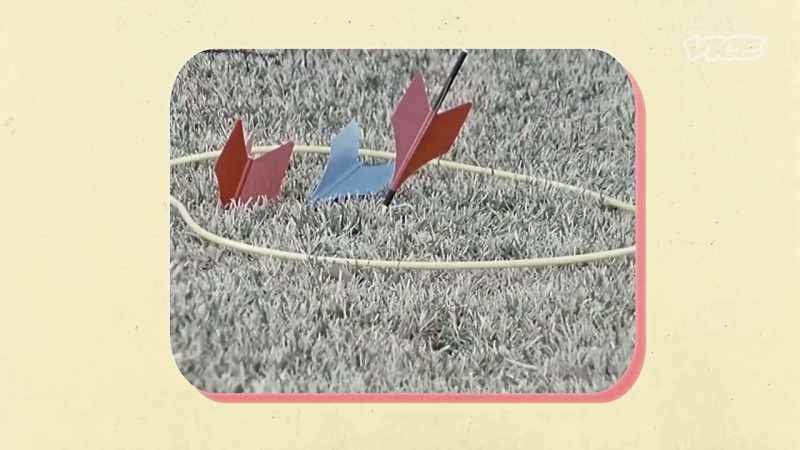 The game is called Lawn Darts