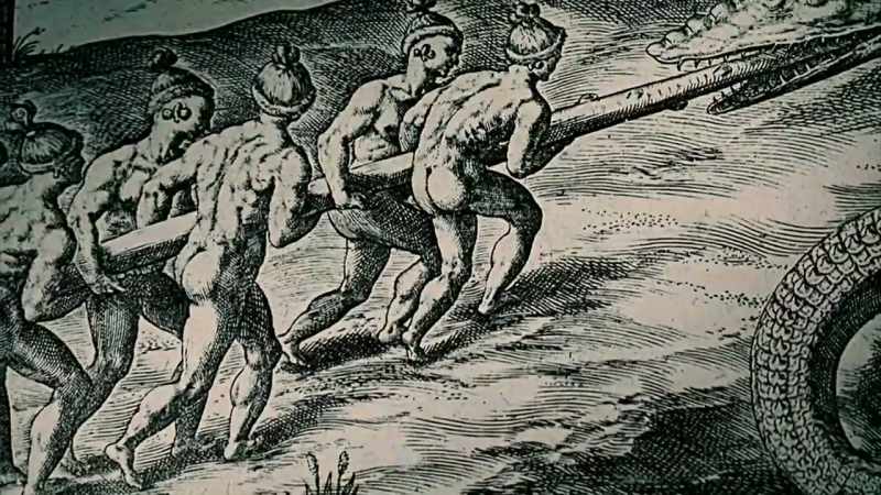 THE GENALI IS DEFINITELY NOT A PYTHON OR A CROCODILE