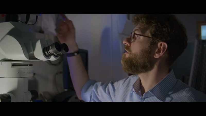 The gene drive will be fluorescent