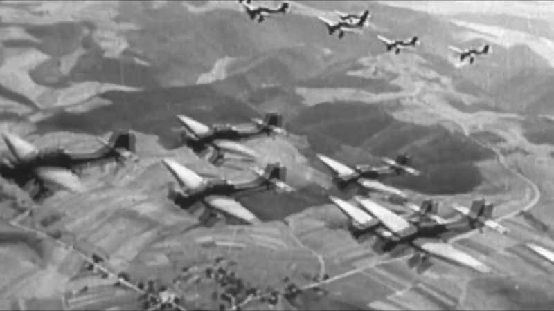 The German Luftwaffe