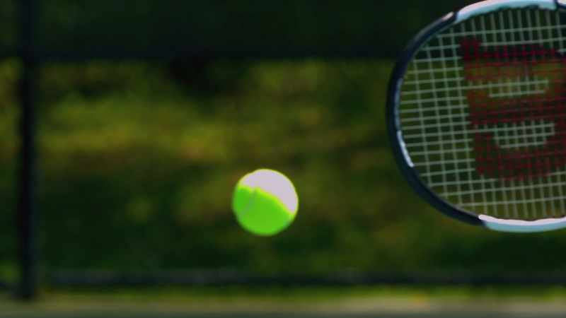 The gifted shot maker known for his forehand