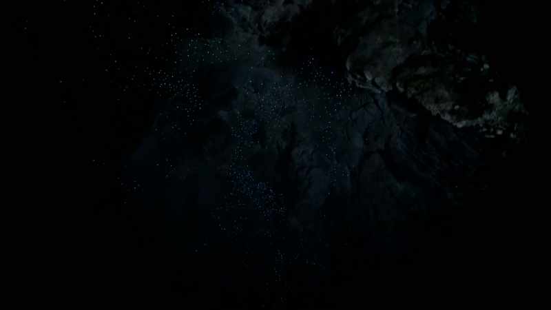 The glow worms glow when they are hungry