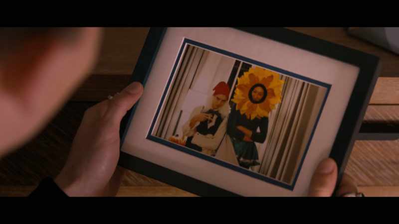 The gnome and the sunflower. Classic