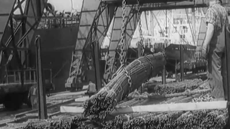 The goods consisted of raw materials, especially petroleum