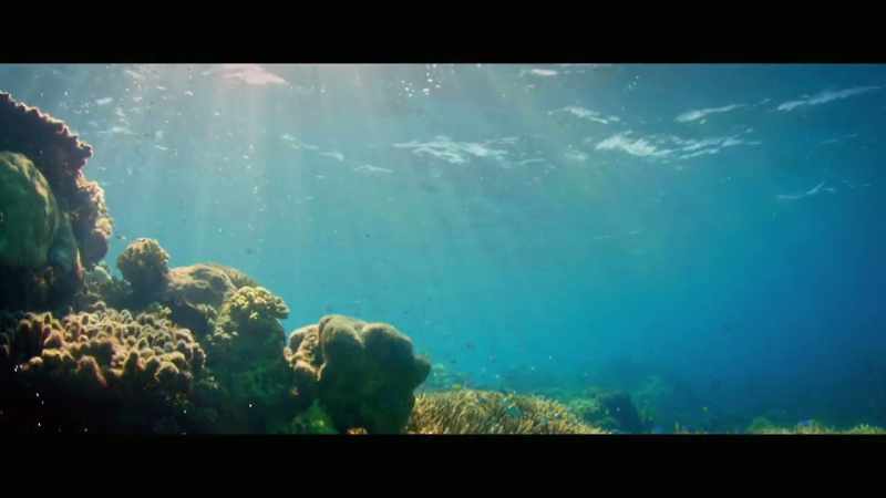 The Great Barrier Reef Outlook Report 2019