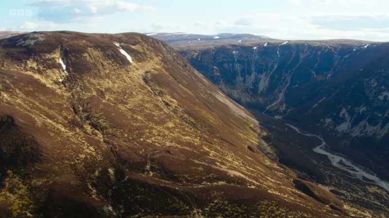 The Great Caledonian Pine Forest