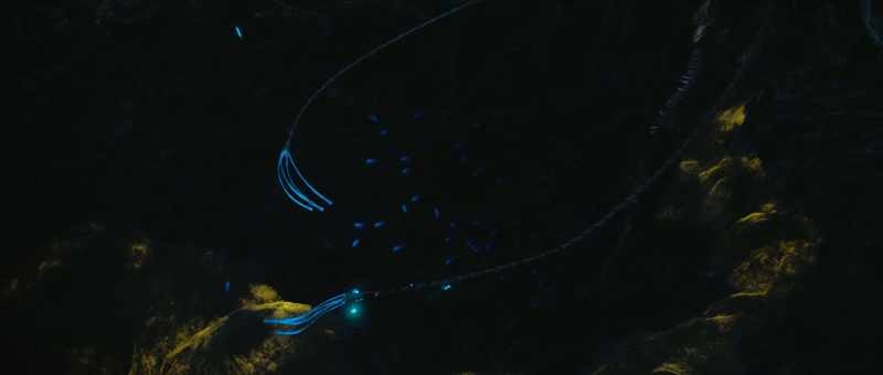 The grubs instinctively jump away from flashing lights