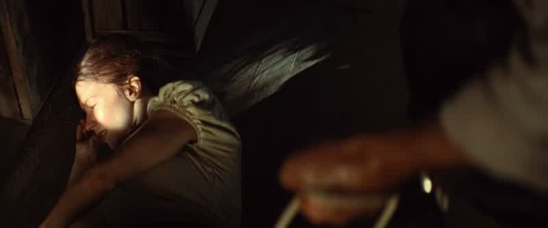 The gun