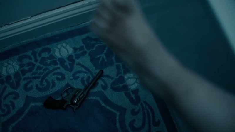 The gun that had been found at her apartment