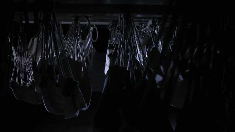 The hammocks were swaying back and forth