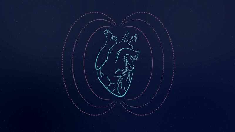 The heart's the largest source of rhythmic electrical energy