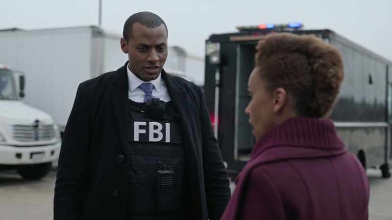 The heist, her capture, this whole damn thing?