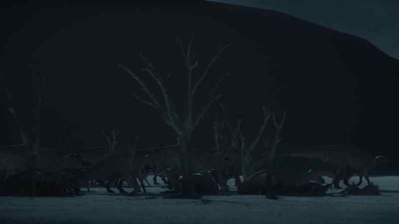 The herd prefers to travel at night