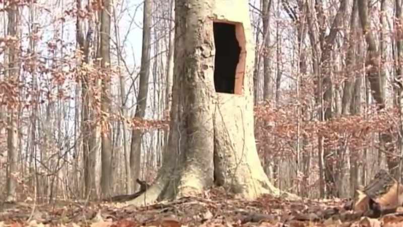 The hole you see here