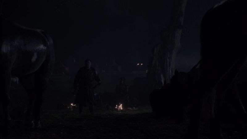 The horses seem a little spooked to you?