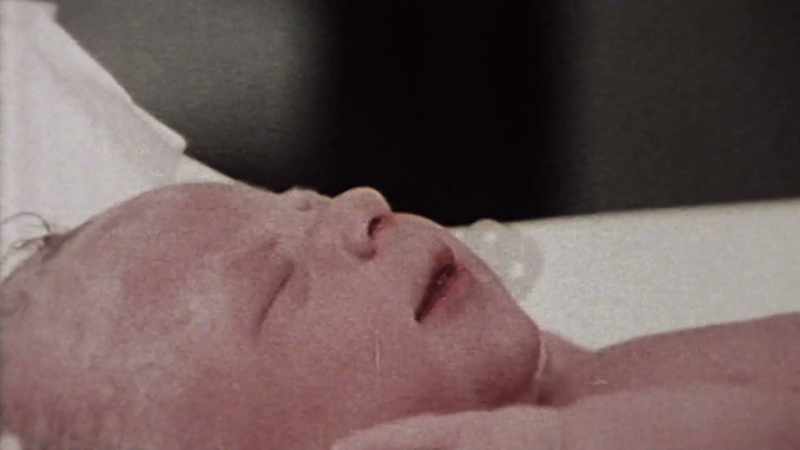 The human embryo was something that was hidden from view