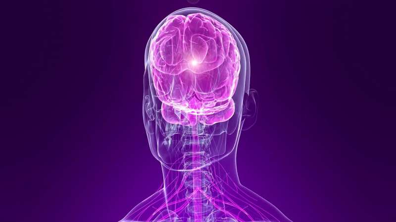 The human pineal gland is a small endocrine gland