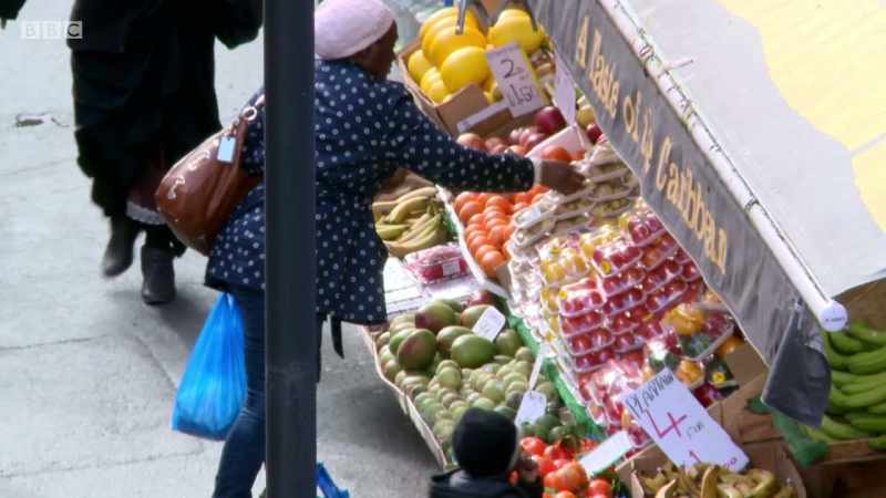 The hunt is on for an alternative source of protein which