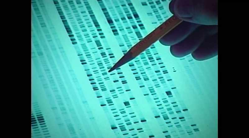 The idea behind gene therapy is really simple