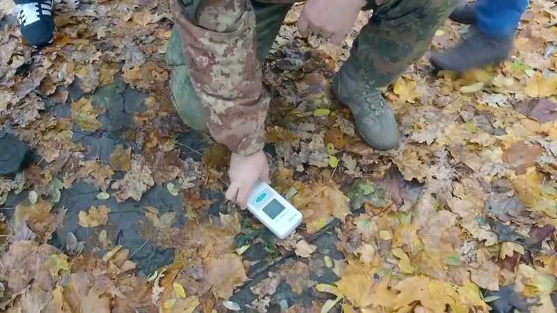 The impact on the surrounding forest and wildlife