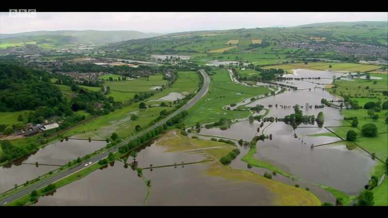 The impacts of biodiversity loss