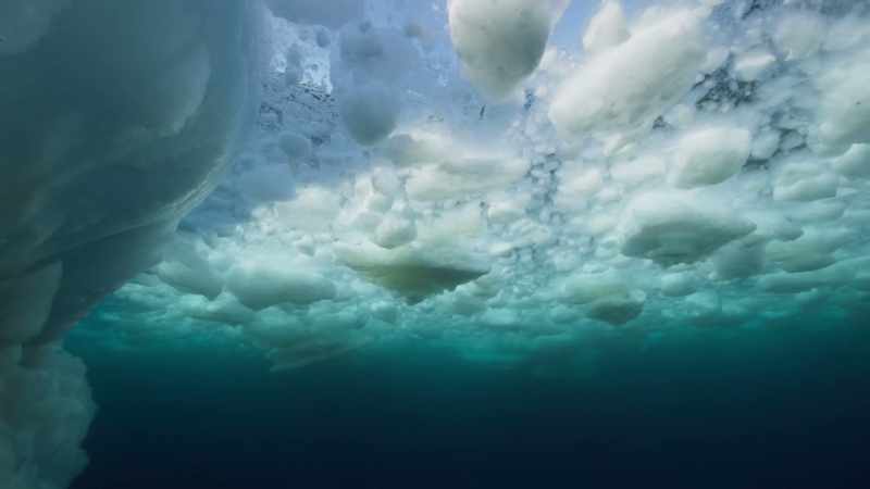 The impenetrable ice ceiling begins to fracture