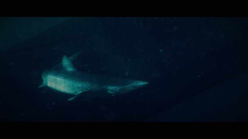 The industry will call bycatch 
