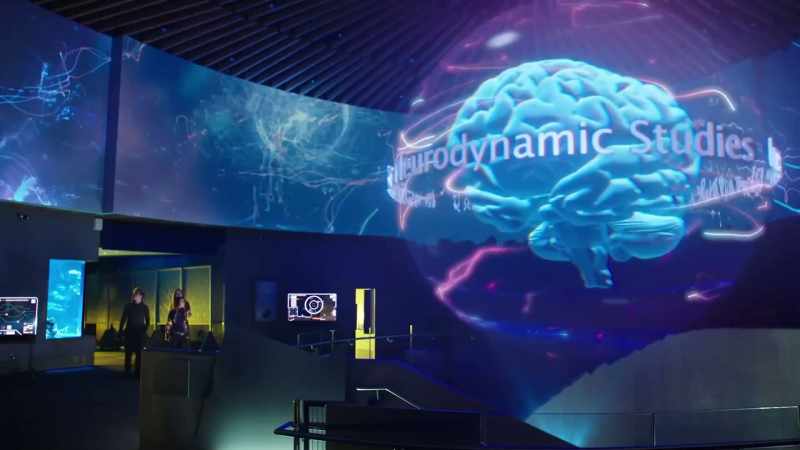 The Institute for Advanced Neurodynamic Studies