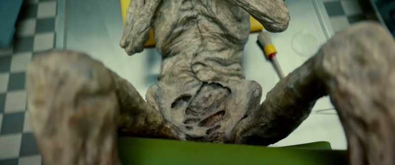 The internal organs were removed