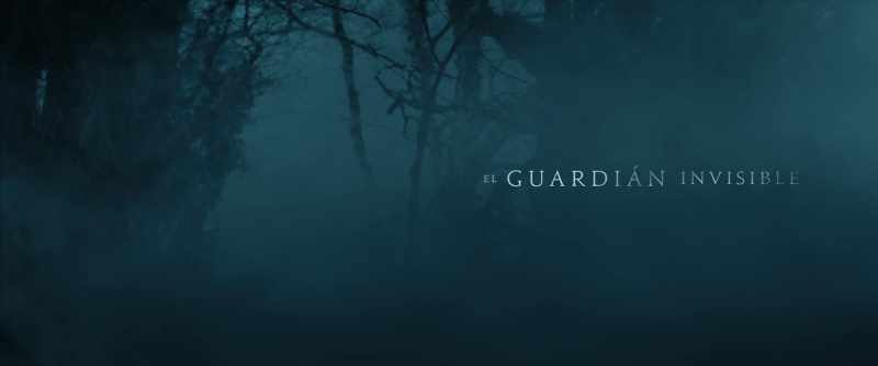 THE INVISIBLE GUARDIAN