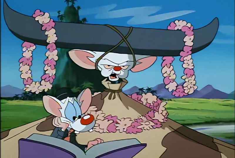THE IRONY OF IT ALL, PINKY