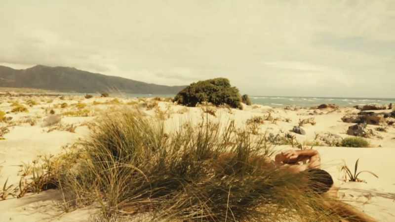 The island had become our paradise