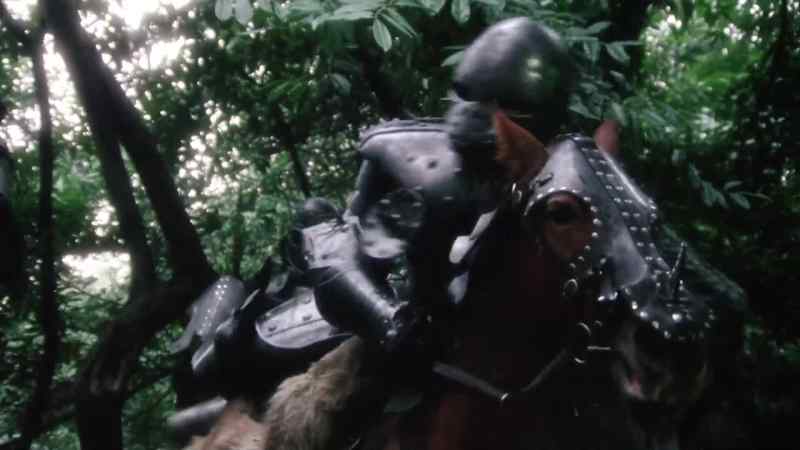The King's bodyguard! Look out!