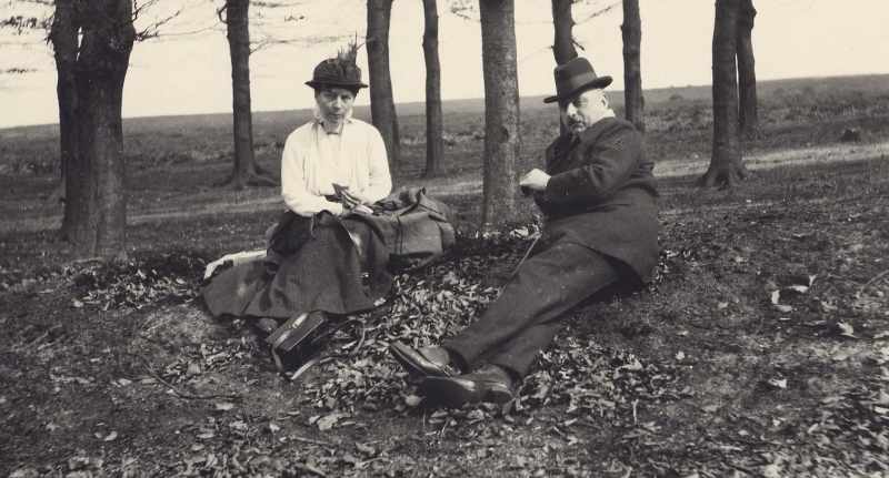 The Kröller-Müller's finances nose dived