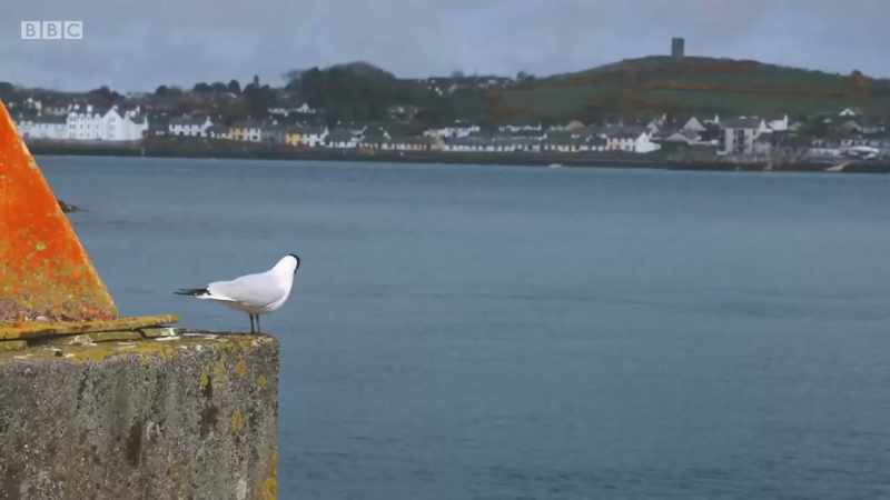 The largest inlet in the British Isles