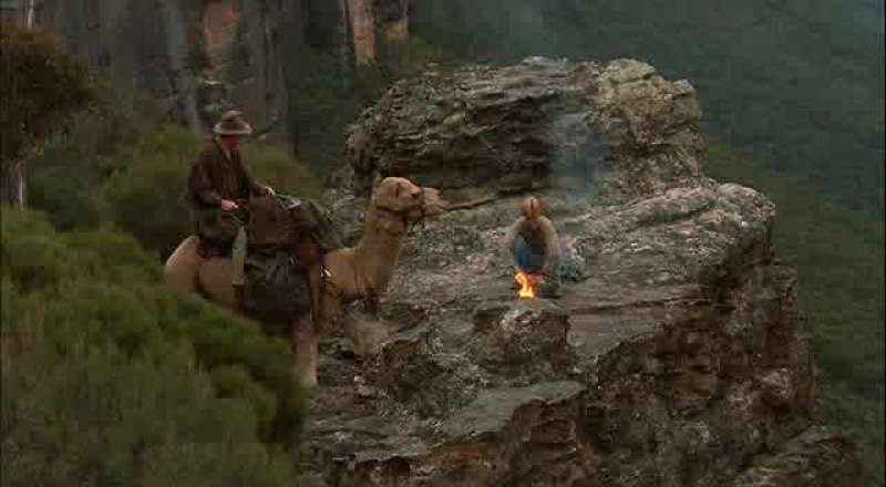 The last thing l ever expected to see up here was a camel