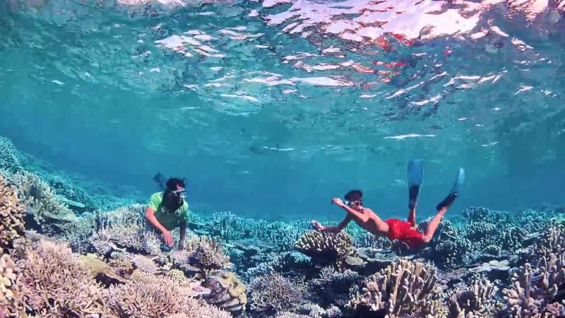 The last time I dove this reef