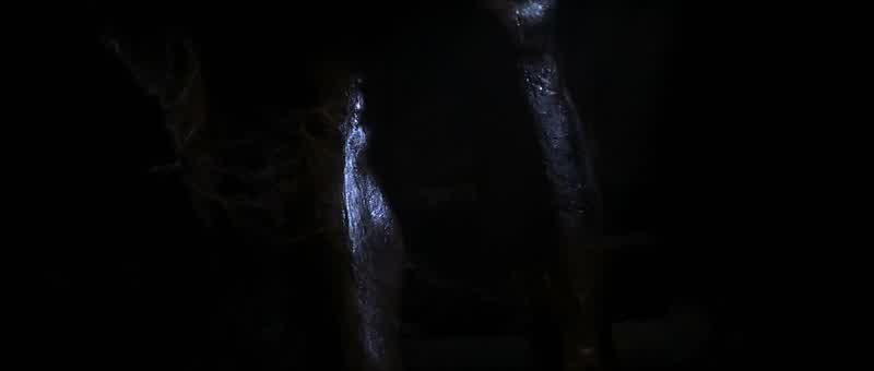 The legs of Anubis