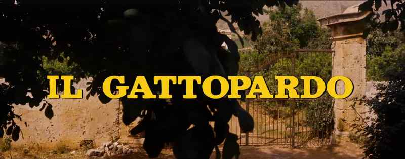THE LEOPARD