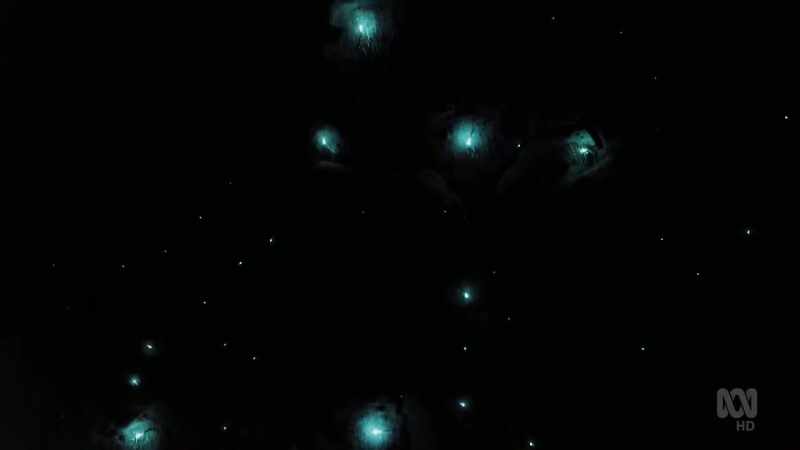 The light is formed by a chemical reaction