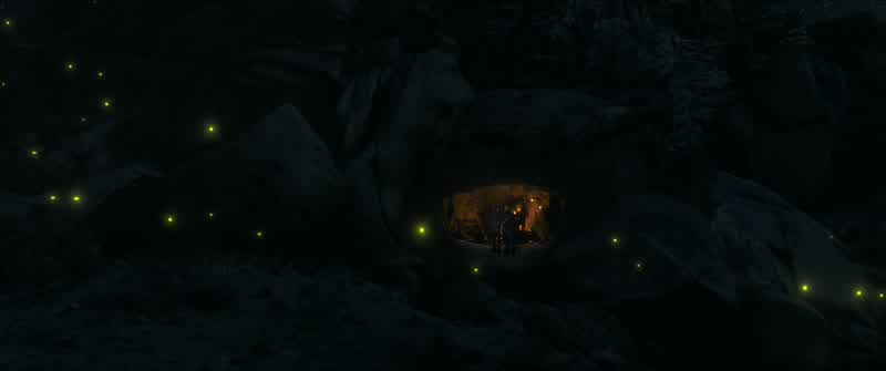 The light from our ancestors......showing us the way home
