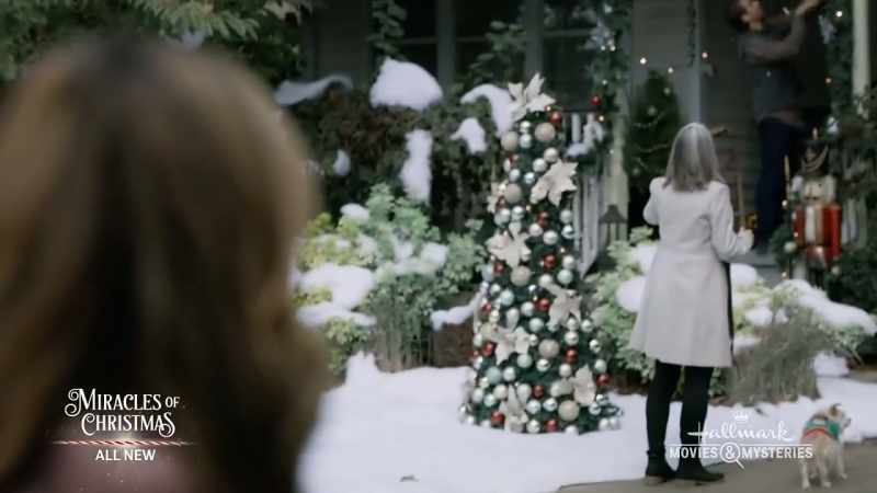 The lights need to be in the garland!