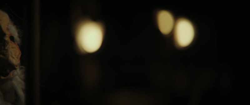 The lights