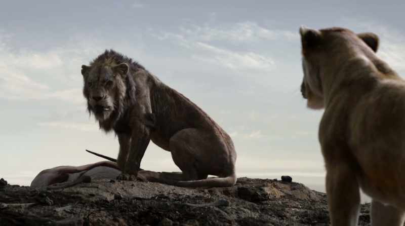 The lions will eat after the hyenas