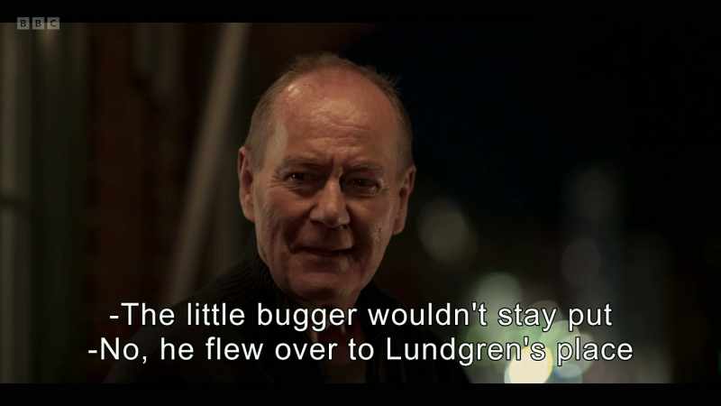 The little bugger wouldn't stay put -No, he flew over to Lundgren's place